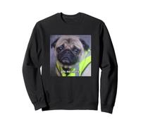 Photo floue de Chien Carlin drôle « Please No More » Sweatshirt