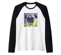 Photo floue drôle Carlin Stay in School Manche Raglan
