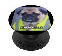 Photo floue drôle Carlin Stay in School PopSockets PopGrip Adhésif