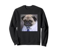 Photo Humoristique « No More » pour Chien Carlin Sweatshirt