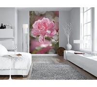 Photo Murale, 184cm x 254cm, Bouquet