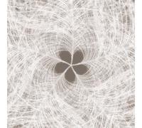 Photo Murale - 368 X 248 Cm - Panoramique Intissé - Federstern Gris