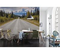 Photo Murale, 368cm x 254cm, Atlin Road