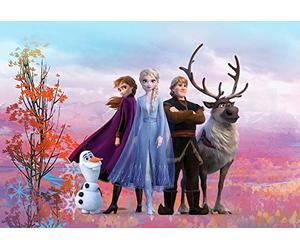 Photo Murale, 368cm x 254cm, Frozen Iconic
