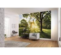 Photo Murale, 368cm x 254cm, Moment d'Or