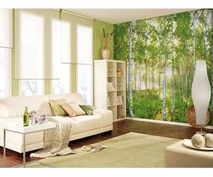 Photo Murale Panoramique Intissé, 368cm x 248cm, Dimanche