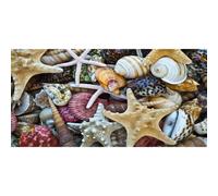 Photo SHELLS G2034 PINTDECOR