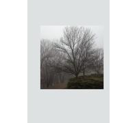 Photograph: “Foggy Morning, Along The River Bank”
