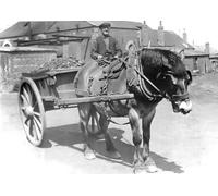 Photographie 1900. Victorian.Social History. Un mineur chevauchant un cheval et une charrette chargée de charbon dans les terrains de la fosse par John Short (40,6 x 28,9 cm)