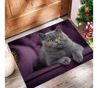 Photographie Animalière Paillasson D'Entrée Discret Absorbant - - Antidérapant -Chat British Shorthair Mignon Tapis De Sol pour Entrée d'animaux Domestiques Cuisine Salle De Bain - Violet