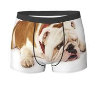 Photographie de Bouledogue Anglais Triste et fatigué avec de la crème Brune, sous-vêtements pour Hommes, caleçons Boxeurs Confortables et Extensibles pour Homme