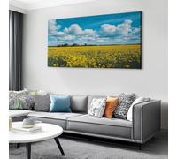 Photographie de la Nature Tableau Décoratif Encadré 90x60 cm, Ciel Champ de colza Toile Imprimée Design pour Salon et Bureau, Couleurs Éclatantes, Idée Cadeau, Tableau sur Toile Prêt à Poser