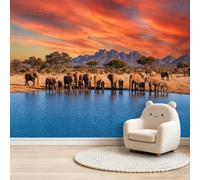Photographie De Nature Papier Peint Panoramique, 150 x 105 cm | Décoration Murale Coucher De Soleil Montagnes Lac Éléphants Format, Murales Papier Peint Intissé pour Chambre Salon