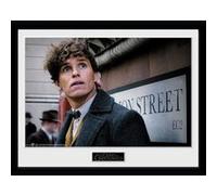 Photographie encadrée Fantastic Beasts 2 Newt Scamander 30x40cm G