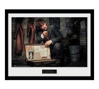 Photographie encadrée Fantastic Beasts 2 Newt Suitcase 30x40cm G