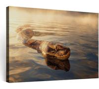 Photographie Faune Impression sur Toile Salon Déco 120 x 60 cm - Python Surface De La Rivière Tableau Decoration Murale, Tableaux Decoratifs Muraux Image Affiche Peinture Chambre à Coucher Couloir