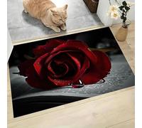 Photographie Minimaliste Paillasson D'Entrée Discret Absorbant - 45 x 75 cm - Antidérapant -Rosée Rose Rouge Tapis De Sol pour Entrée d'animaux Salle De Bain - Noir Charbon