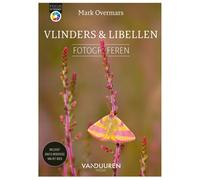 Photographier les papillons et les libellules