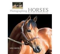 Photographing Horses: How To Capture The Perfect Equine Image