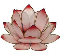 Photophore lotus - coloris rose