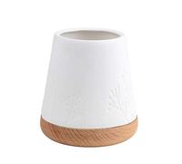 Photophore Plante Moyenne