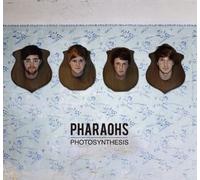 Photosynthesis [Import allemand]