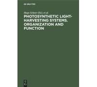 Photosynthetic Light-Harvesting Systems. Organization And Function