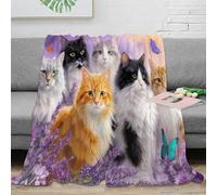 PHQAZWSXE 3D Imprimé Cats in Jardin Plaid de Salon Microfibre Toutes Saisons Fantastique Art Couverture Lavable en Machine Légère pour Locataires Familles Enfants 80×90inch(200x230cm)