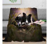 PHQAZWSXE 3D Imprimé Collie Dogs Couverture Polaire Microfibre Literie Nature Wildlife Couverture Anti-Bouloche Antistatique pour Familles Enfants Foyers 80×90inch(200x230cm)