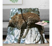 PHQAZWSXE 3D Imprimé Leopard Resting Plaid de Salon Microfibre Moelleux Sauvage Animal Photo Couverture Polaire Cadeau Emménagement pour Foyers 70×80inch(180x200cm)