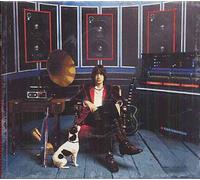 Casablancas, Julian - Phrazes for The Young [Import]