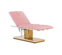 physa Fauteuil esthétique - 3 moteurs - 300 W - 190 x 65 x 60 - 76 cm - 200 kg - rose / or PHYSA VITERBO POWDER PINK