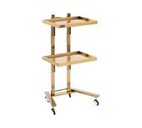 Physa Chariot Esthétique Doré - Table de Service Coiffure à 2 Tablettes - Desserte pour Salon de Beauté