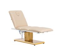 physa Fauteuil esthétique - 3 moteurs - 300 W - 190 x 65 x 60 - 76 cm - 200 kg - beige/or PHYSA VITERBO BEIGE