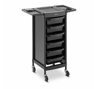 physa Charriot pour salon de coiffure - 10 kg - 6 tiroirs avec 3 parois de séparation - Support pour sèche-cheveu - Plateau de 420 x 390 mm PHYSA-RR-13