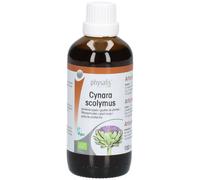 Physalis Cynara Scolymus Gouttes de Plantes Bio Goutte(S) 100 ml