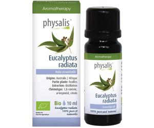 Physalis Huile Essentielle 100% Pure Et Naturelle Eucalyptus Radiata 10ml