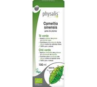 Physalis Thé Vert Extrait Hydroalcoolique Bio 100ml