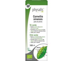Physalis Thé Vert Extrait Hydroalcoolique Bio 100ml