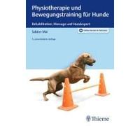 Physiotherapie Und Bewegungstraining Für Hunde