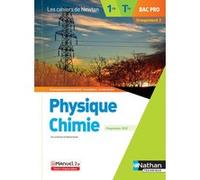 Physique-chimie 1re/Term Bac Pro - Groupement 2 (Les cahiers de Newton) - Livre + licence élève 2020 Guillaume Clara (Auteur), Frédéric Desage (Auteur), Hervé Collomb-Clerc (Auteur), Lucie Labede (Aut