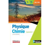 Physique-Chimie - 1re/Tle Bac Pro - Groupement 2 - Coll. Les cahiers de Newton