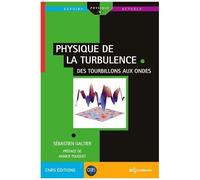 Physique De La Turbulence - Des Tourbillons Aux Ondes