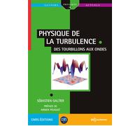 Physique de la turbulence Des tourbillons aux ondes - Sébastien Galtier - Edp Sciences - broché - Essai