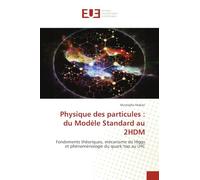 Physique des particules : du Modèle Standard au 2HDM: Fondements théoriques, mécanisme de Higgs et phénoménologie du quark top au LHC