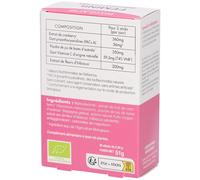PHYTO-ACTIF Féminil Poudre Pour La Préparation D'Une Solution 20 pc(s)