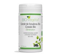 Phyto Sud Bouleau et Cassis Bio - Draineur Naturel - Elimination et Draineur Retention d'Eau Puissant - Cure Detox Reins - Complément Alimentaire Vegan - 60 Gélules - Fabrication Française