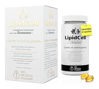 Phytoceramides - CERAMOSIDES 30 mg, Vitamine A et E, Squalane - La vitamine A contribue au maintien d'une peau normale - Peau sèche, ménopause (60 capsules molles)