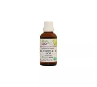 Phyto'gem Chèvrefeuille Noir Macérat Glycériné Bourgeon Bio 40ml