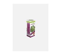 PhytoGOLD Alcachofra + Pau D'Arco Xarope 500ml